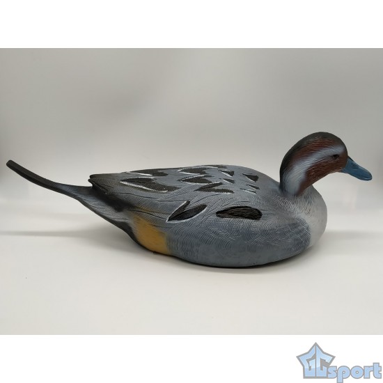 Чучело селезня шилохвость, сминаемое