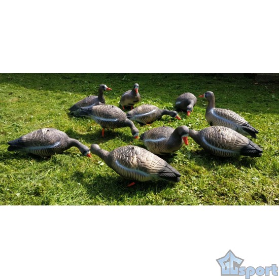 Чучела белоголовых гусей для охоты или дизайна (в наборе 10 гусей)