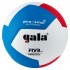 Мяч волейбольный GALA Pro-Line 12, FIVB (профессиональный)