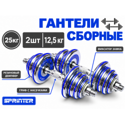 Гантели сборные 2 шт. по 12,5 кг (голубые)