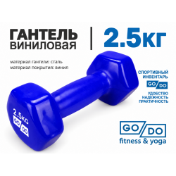 Гантель GO DO в виниловой оболочке, 2,5кг, синяя