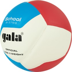 Мяч волейбольный GALA School 12 (тренировочный)