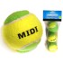 Мячи для большого тенниса Swidon Midi (3шт)