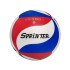Волейбольный мяч SPRINTER VS5001