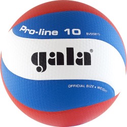 Мяч волейбольный Gala pro-line 10 №5 (матчевый) bv5581s