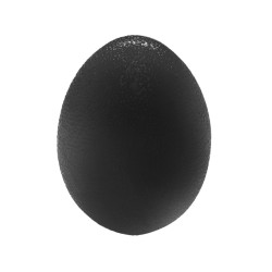 Эспандер кистевой Яйцо Sprinter (черный)